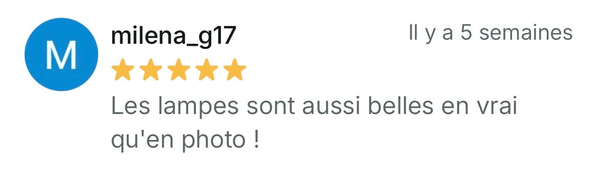 Avis Client